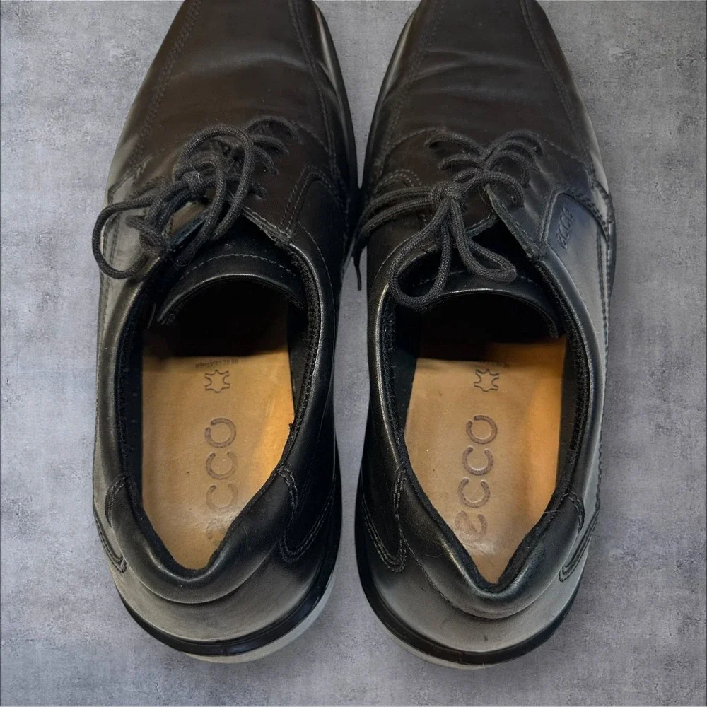 Ecco men black